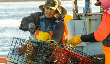 Conapesca anuncia vedas para 11 especies en mayo; inician aprovechamientos de almeja y charal
