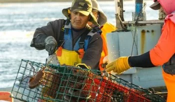Conapesca anuncia vedas para 11 especies en mayo; inician aprovechamientos de almeja y charal