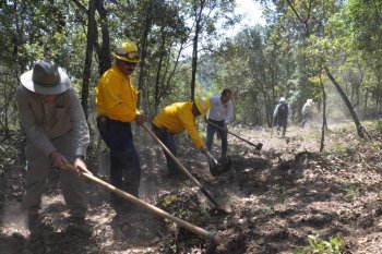 Realizan jornada de brechas corta fuego en la Sierra de Santa Rosa, Guanajuato