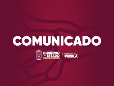 Cancelan 'puerco encebado' en Zacatlán por violar Ley de Bienestar Animal