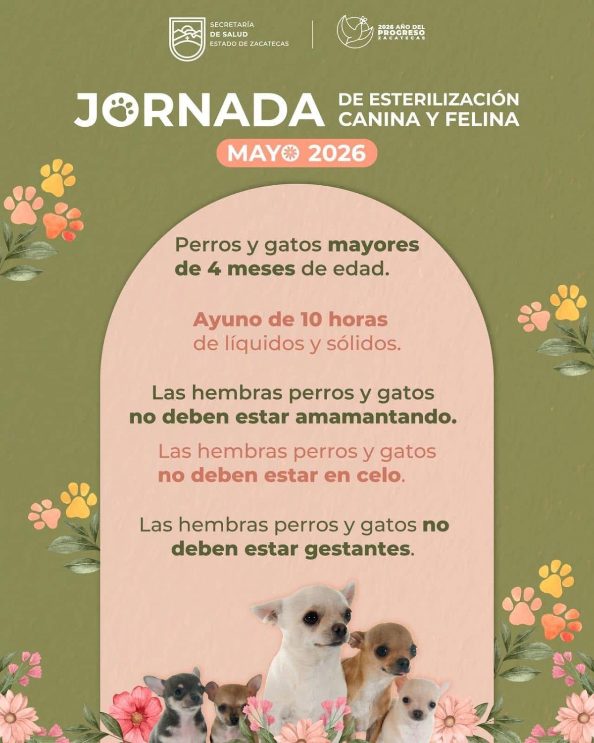 SSZ llevará esterilización gratuita de perros y gatos a Villa de Cos
