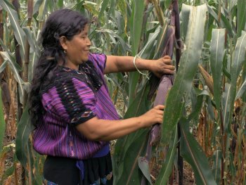 Documental tsotsil 'Li Cham' se proyectará en Cineteca Nuevo León; visibiliza resistencia de mujeres indígenas