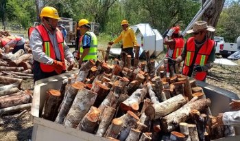 INIFAP capacita a productores de Campeche en producción de carbón vegetal con hornos metálicos
