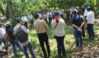 México y Centroamérica unen esfuerzos para fortalecer cultivos de café y cacao