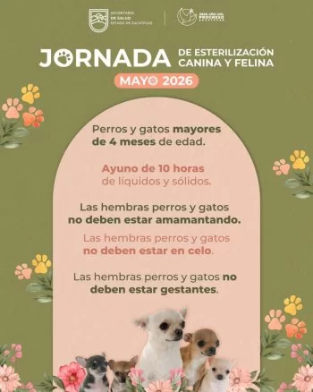 SSZ llevará esterilización gratuita de perros y gatos a Villa de Cos