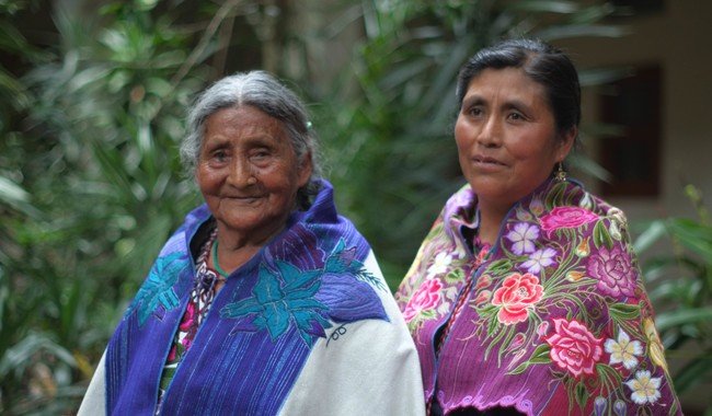 IMSS reconoce labor de 2 mil 930 parteras en México por atención humanizada