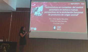 Investigadora del INIFAP propone hongos comestibles como alternativa contra parásitos en ovinos