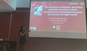 Investigadora del INIFAP propone hongos comestibles como alternativa contra parásitos en ovinos