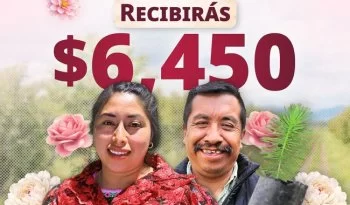 Sembrando Vida dispersa pago de abril: 415 mil sembradores reciben 6,450 pesos