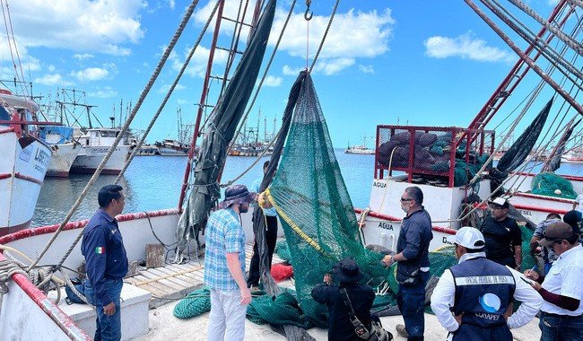 Camarón mexicano renueva certificación para exportar a EU; compras anuales suman 142 mdd