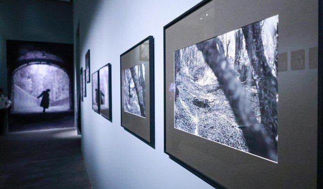 Centro de la Imagen inaugura 2026 con cinco exposiciones y más de 500 piezas