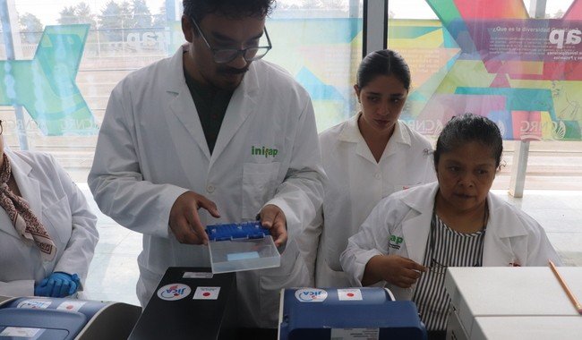 INIFAP capacita a personal de UAEMéx en técnicas de biología molecular para análisis genético vegetal