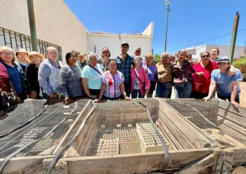 Capacitan a 30 adultos mayores en cultivos orgánicos en Cuauhtémoc