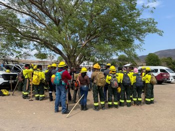Combaten incendio forestal en Cerro Tecaballo; detectan fuego en Guerrero desde el aire