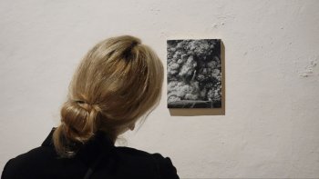 Exposición ‘Pinturas Rupestres. Meghalayan’ de Dorian FitzGerald llega al Museo de la Ciudad de Querétaro