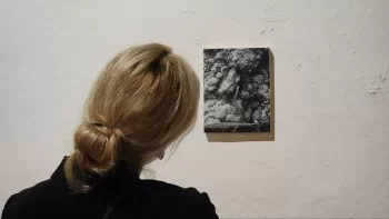Exposición ‘Pinturas Rupestres. Meghalayan’ de Dorian FitzGerald llega al Museo de la Ciudad de Querétaro