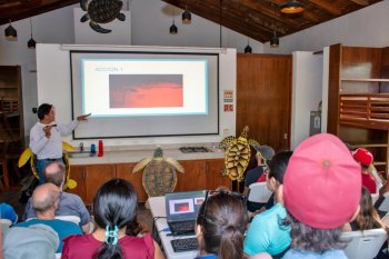 FPMC capacita a voluntarios para proteger tortugas marinas en Cozumel temporada 2026