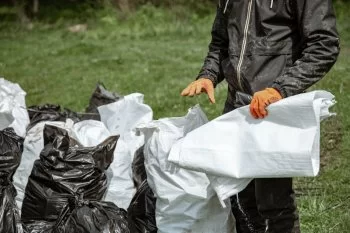 Secretaría de Salud llama a reforzar prevención contra rickettsiosis por garrapatas