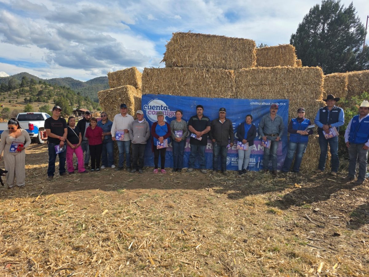 Abren convocatoria para apoyo de esquilmos y pacas de rastrojo a ganaderos en Chihuahua