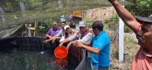 Gobierno de Guerrero siembra mil crías de trucha arcoíris en Omiltemi para fortalecer acuacultura