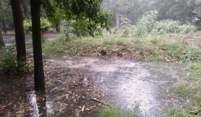 Cierran Viveros de Coyoacán por desbordamiento de ríos tras lluvias torrenciales en CDMX