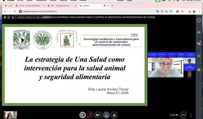 Curso virtual sobre nematodos en ovinos reúne a más de 100 especialistas de México y el extranjero