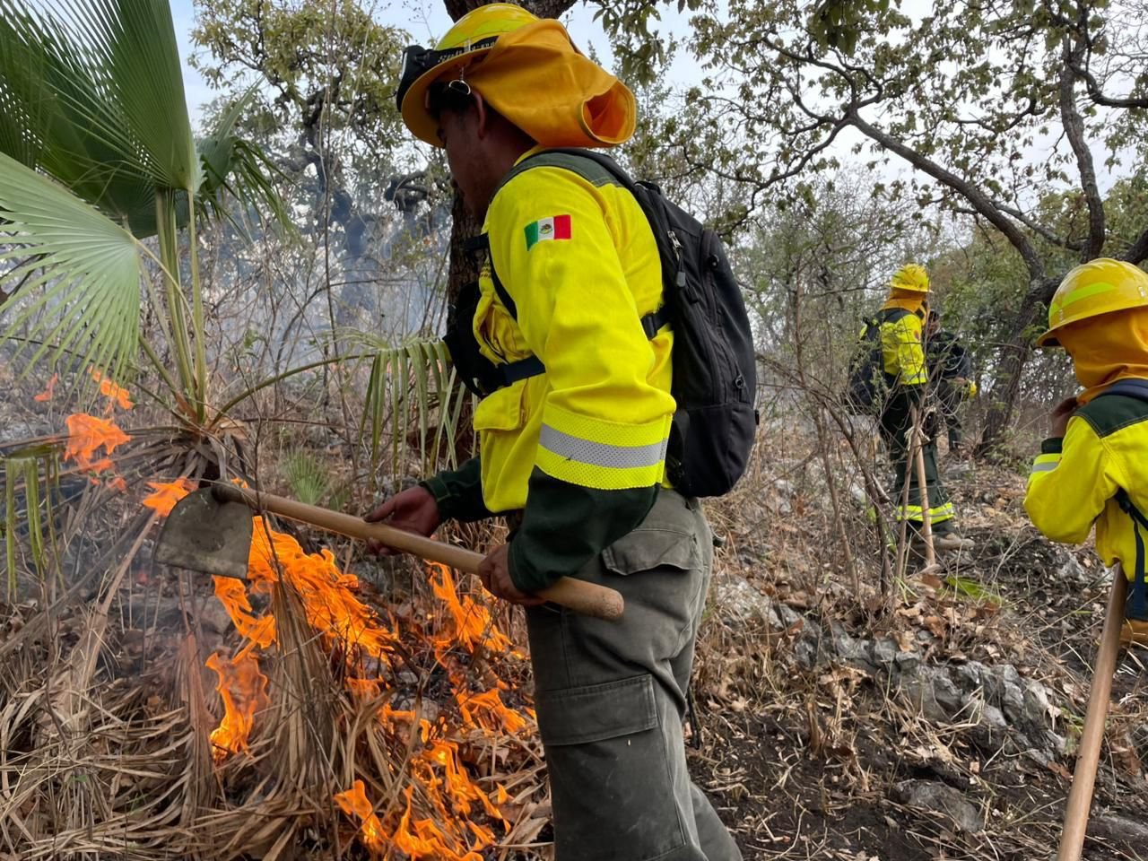Gobierno de Puebla liquida incendio forestal en Cerro Tecaballo sin lesionados