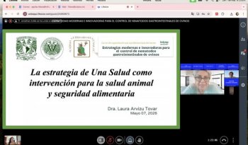 Curso virtual sobre nematodos en ovinos reúne a más de 100 especialistas de México y el extranjero