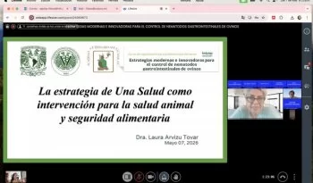 Curso virtual sobre nematodos en ovinos reúne a más de 100 especialistas de México y el extranjero