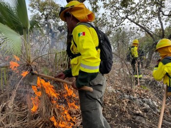 Gobierno de Puebla liquida incendio forestal en Cerro Tecaballo sin lesionados