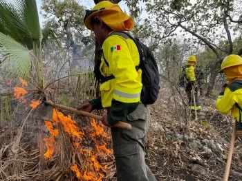 Gobierno de Puebla liquida incendio forestal en Cerro Tecaballo sin lesionados