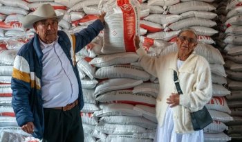 Programa de Fertilizantes para el Bienestar 2026 alcanza cobertura total en las 32 entidades del país