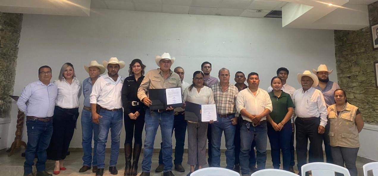 Certifican a Tancanhuitz como libre de tuberculosis bovina tras barrido sanitario en más de 3 mil cabezas de ganado