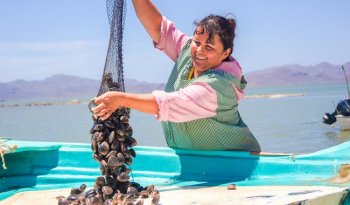 Conapesca impulsa empoderamiento de mujeres pescadoras con proyecto internacional de la Alianza del Pacífico
