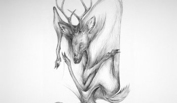 Taller de Gráfica Venado presenta Carpeta Gráfica Vol. II en Oaxaca con obra de 31 artistas