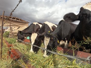 SDR mantiene abierta convocatoria de garantías para créditos agropecuarios en Chihuahua