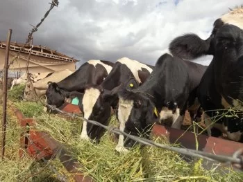 SDR mantiene abierta convocatoria de garantías para créditos agropecuarios en Chihuahua