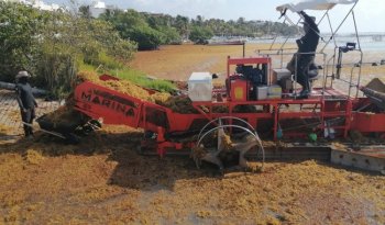 Marina reporta más de 39,500 toneladas de sargazo recolectadas en Quintana Roo en 2026