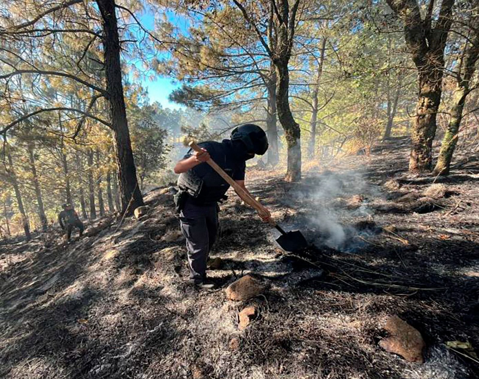 Policía Forestal de Puebla destruye hornos clandestinos y detiene a talador ilegal