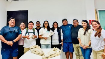 FPMC capacita a CONANP sobre conservación de cocodrilos en Cozumel
