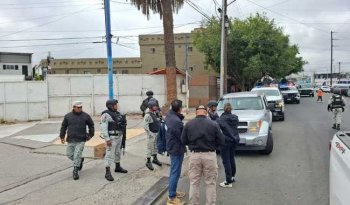 Operativo nacional contra camarón ilegal: inspeccionan 15 puntos en 7 estados