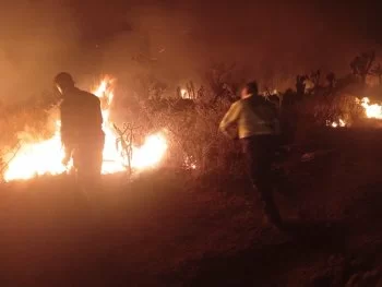 Liquidan incendio forestal en Villa de Cos tras afectar 800 hectáreas