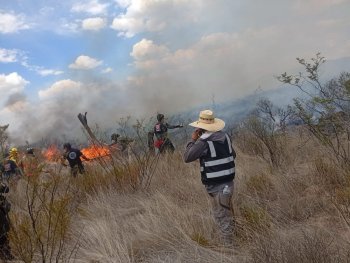 Más de 30 elementos combaten incendio forestal en Villa de Cos, Zacatecas