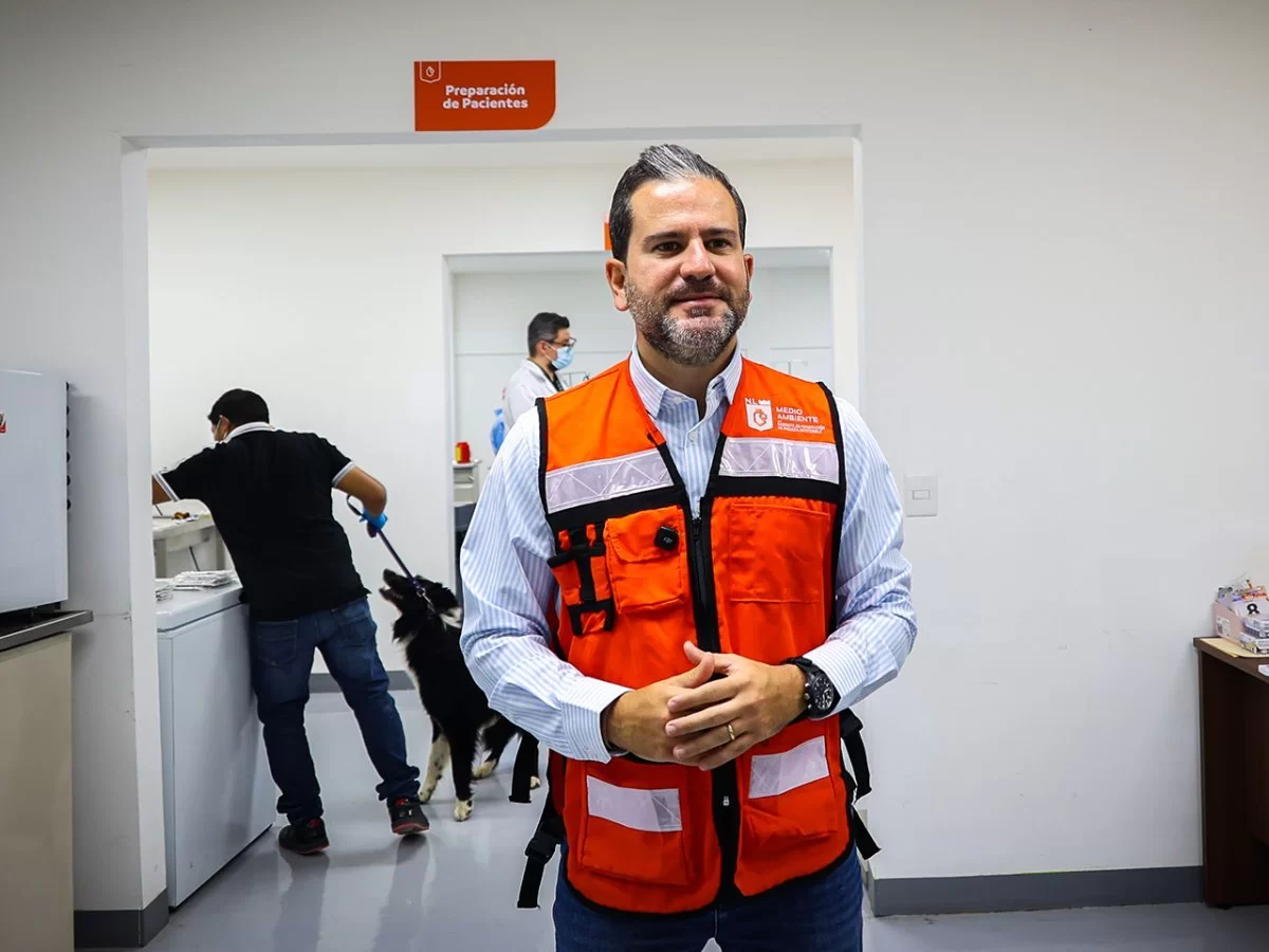 Nuevo León realiza jornada de esterilización para controlar sobrepoblación de perros y gatos