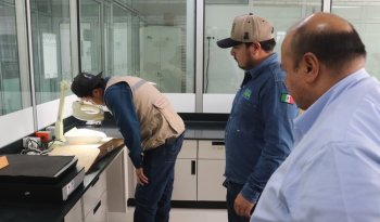 INIFAP incorpora 230 accesiones de maíz nativo de Chihuahua al banco de germoplasma
