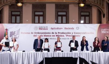 Sheinbaum firma acuerdo para garantizar precio justo del maíz blanco a 61 mil productores