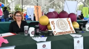 Empleo formal en Michoacán alcanza los 505 mil registros ante el IMSS