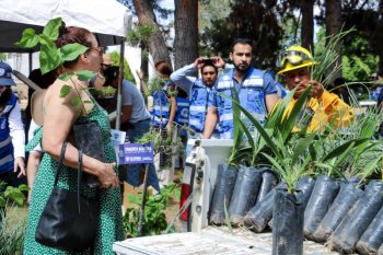 SDR entrega semillas y árboles a más de 800 personas en Chihuahua para fomentar el autoconsumo