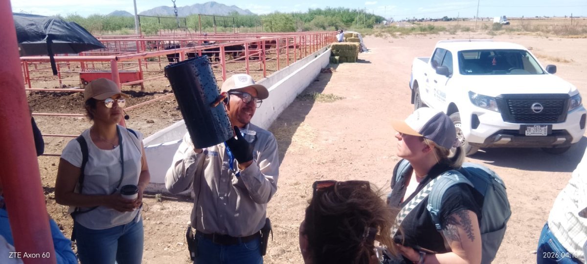 Chihuahua refuerza blindaje sanitario: reubican 14 trampas contra el Gusano Barrenador del Ganado