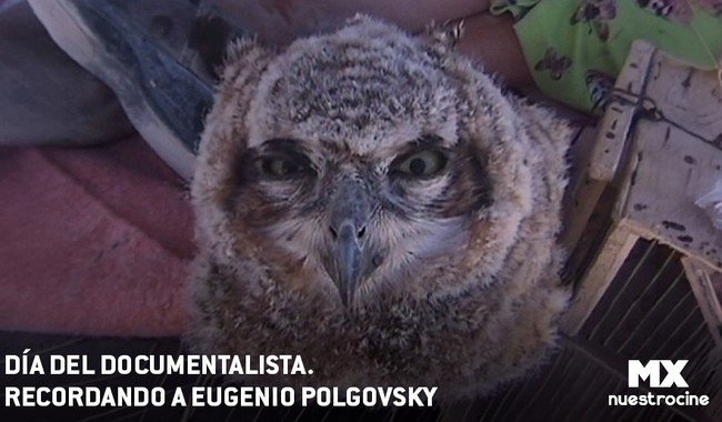 MX Nuestro Cine homenajea a Eugenio Polgovsky en el Día del Documentalista